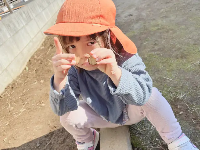 割ったどんぐりの中から黄色い実を見つけ、『ピーナッツみたい！』と観察を楽しむ子ども