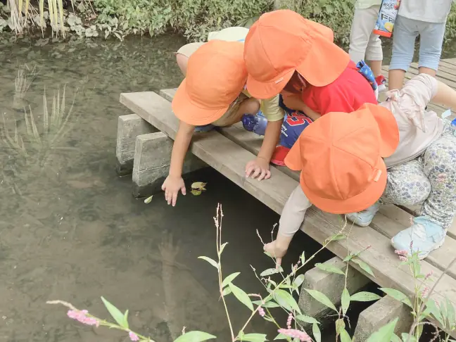 川に手を入れて冷たさを確かめたり、ザリガニを探したりする園児たち