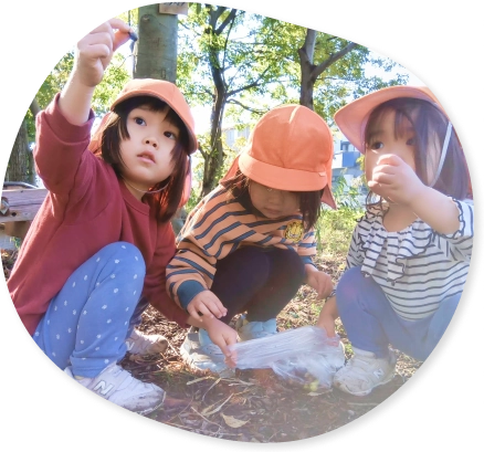 どんぐりを夢中で拾う3人の女の子｜地域社会にふれながら個性を育む学びの時間