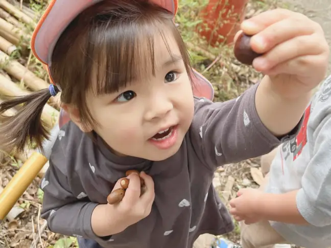 大きさや形の違うどんぐりを比べて集める子どもたち|『レア』を探す探究心
