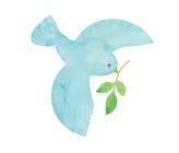 偶数画像